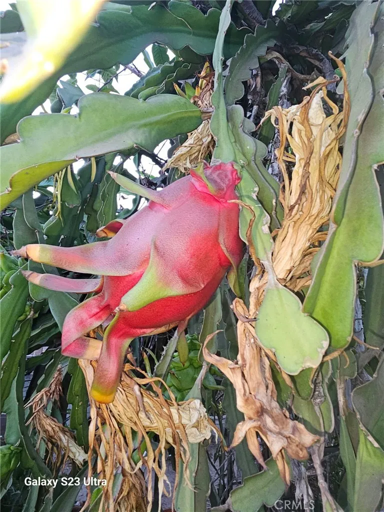 8446 Bradley Avenue, Sun Valley, California 91352 home-pic-19